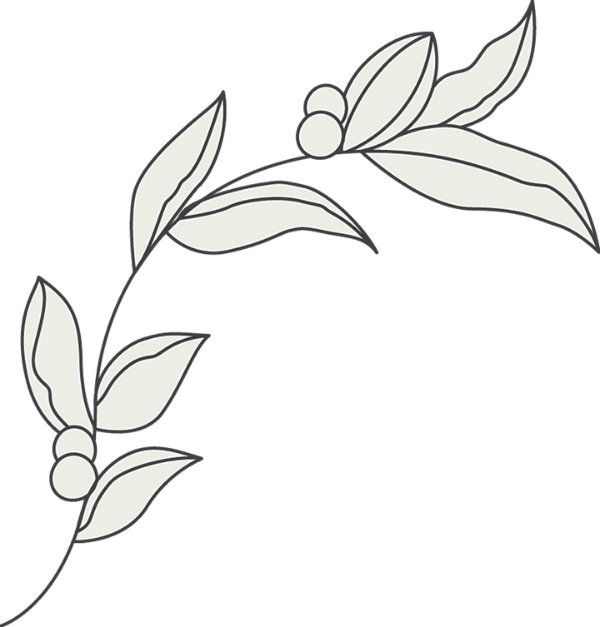 Diseño sin título (1)